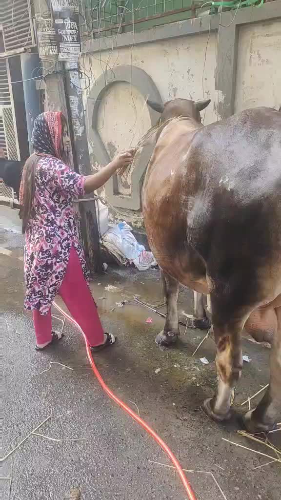 @Azan