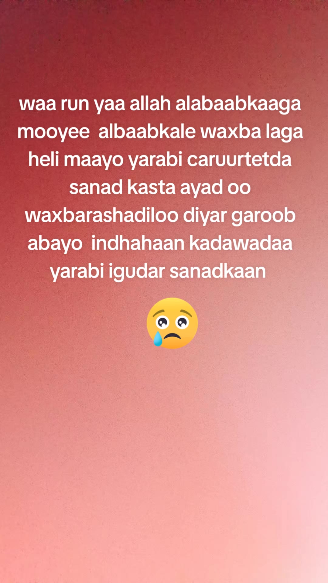 @umu sundus