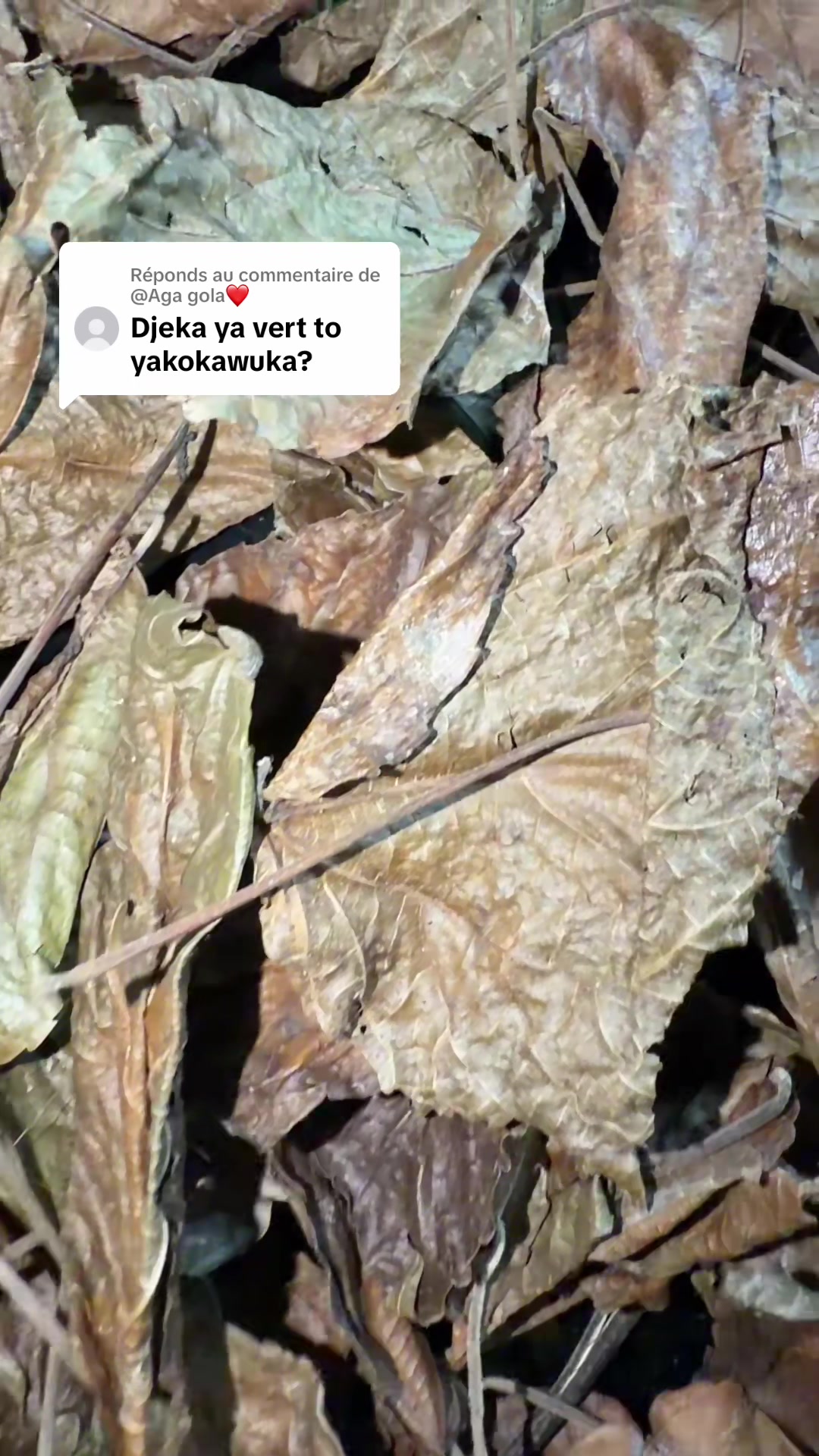 @ntumbalarose5