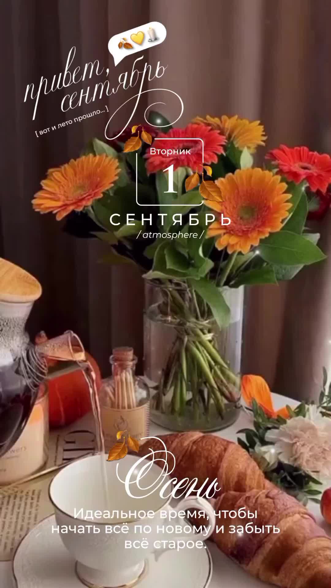 @✨𝐴 𝑔 𝑎 𝑡 𝑎 ꨄ✨💫☕