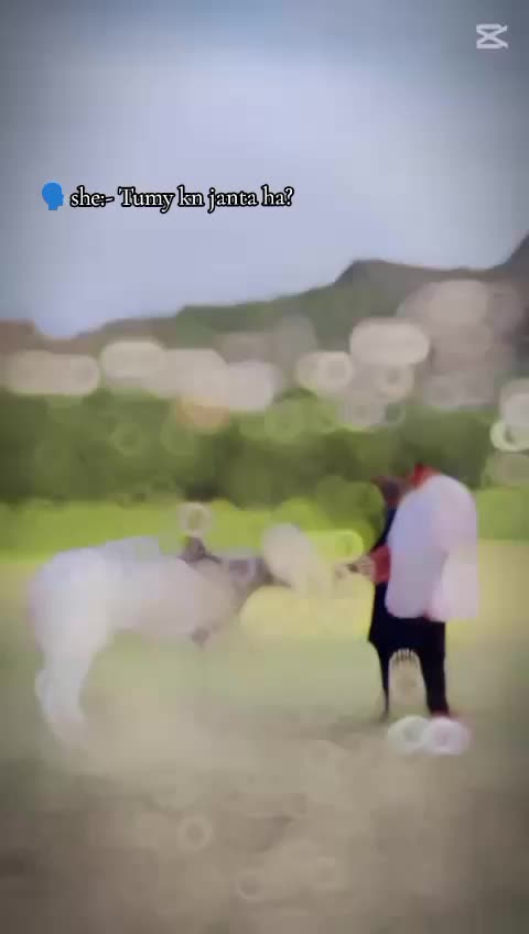 @ٹھکیدار حمزہ جنجوعہ❤️