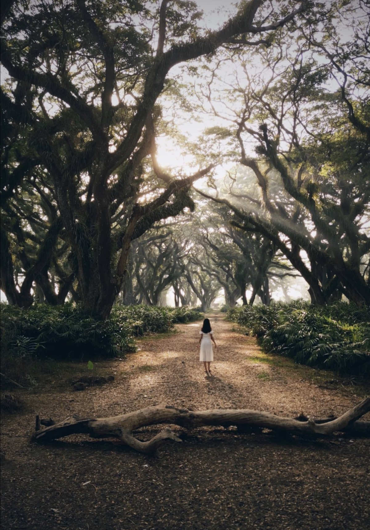 @Bali photography