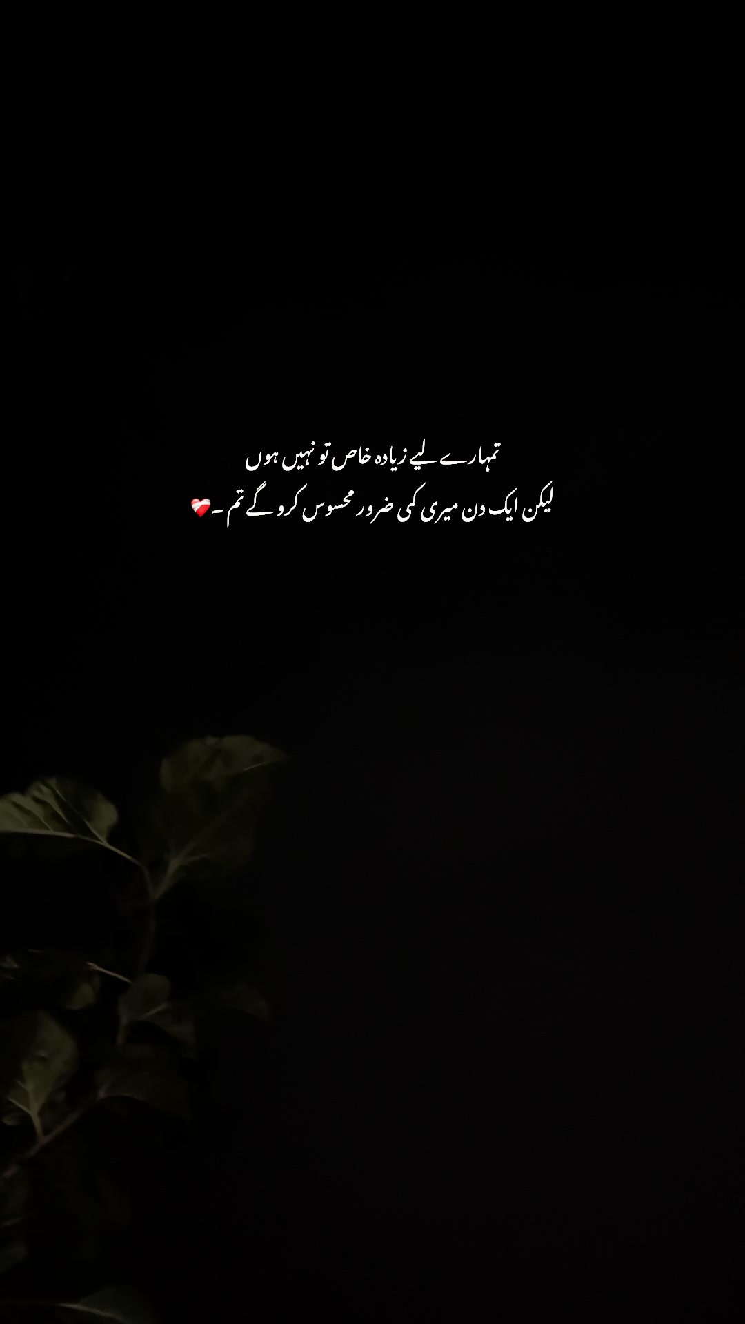 @𓆩 Aabi 𓆪