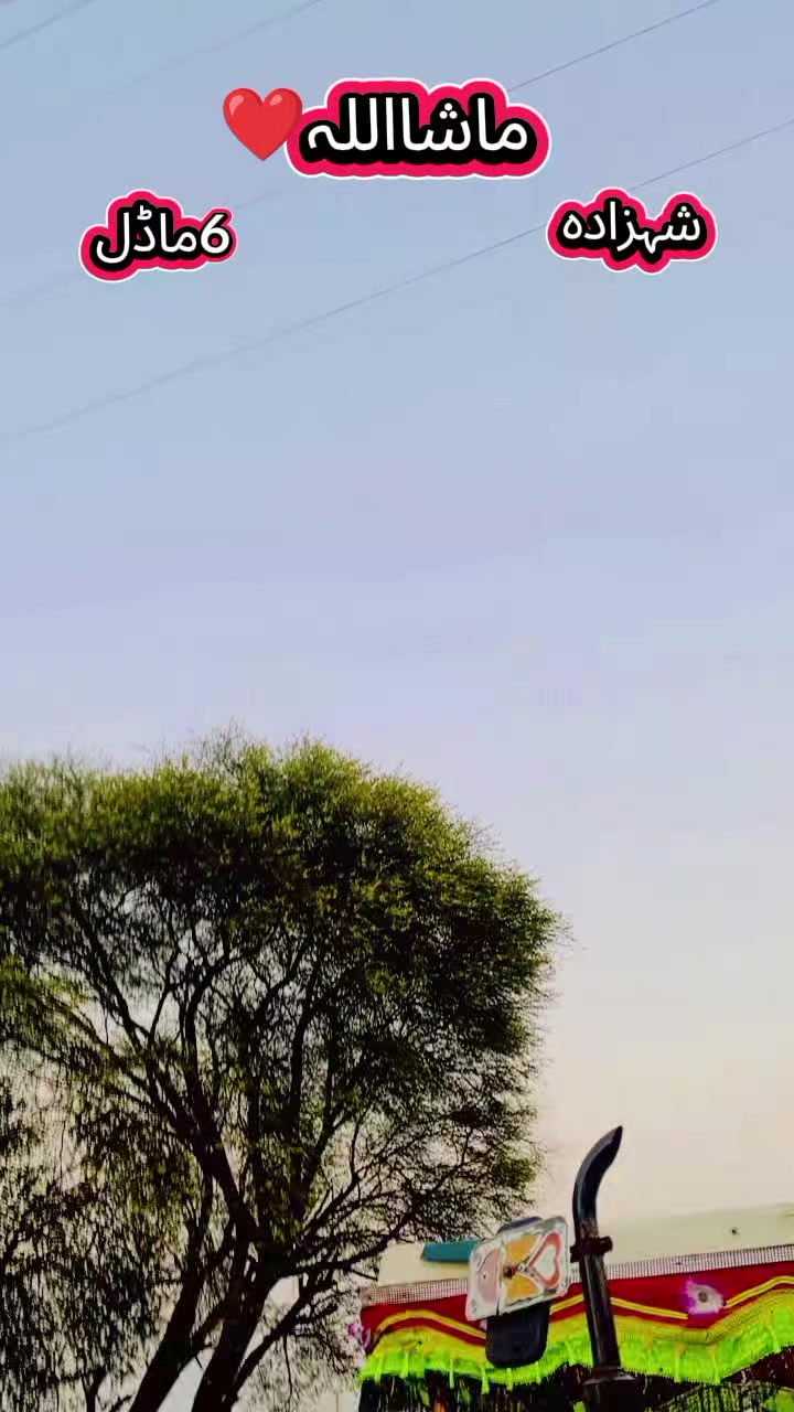 @✨نمبردار راجہ افضال✨