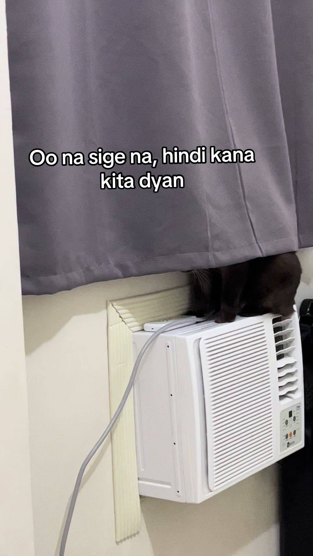 @Asta