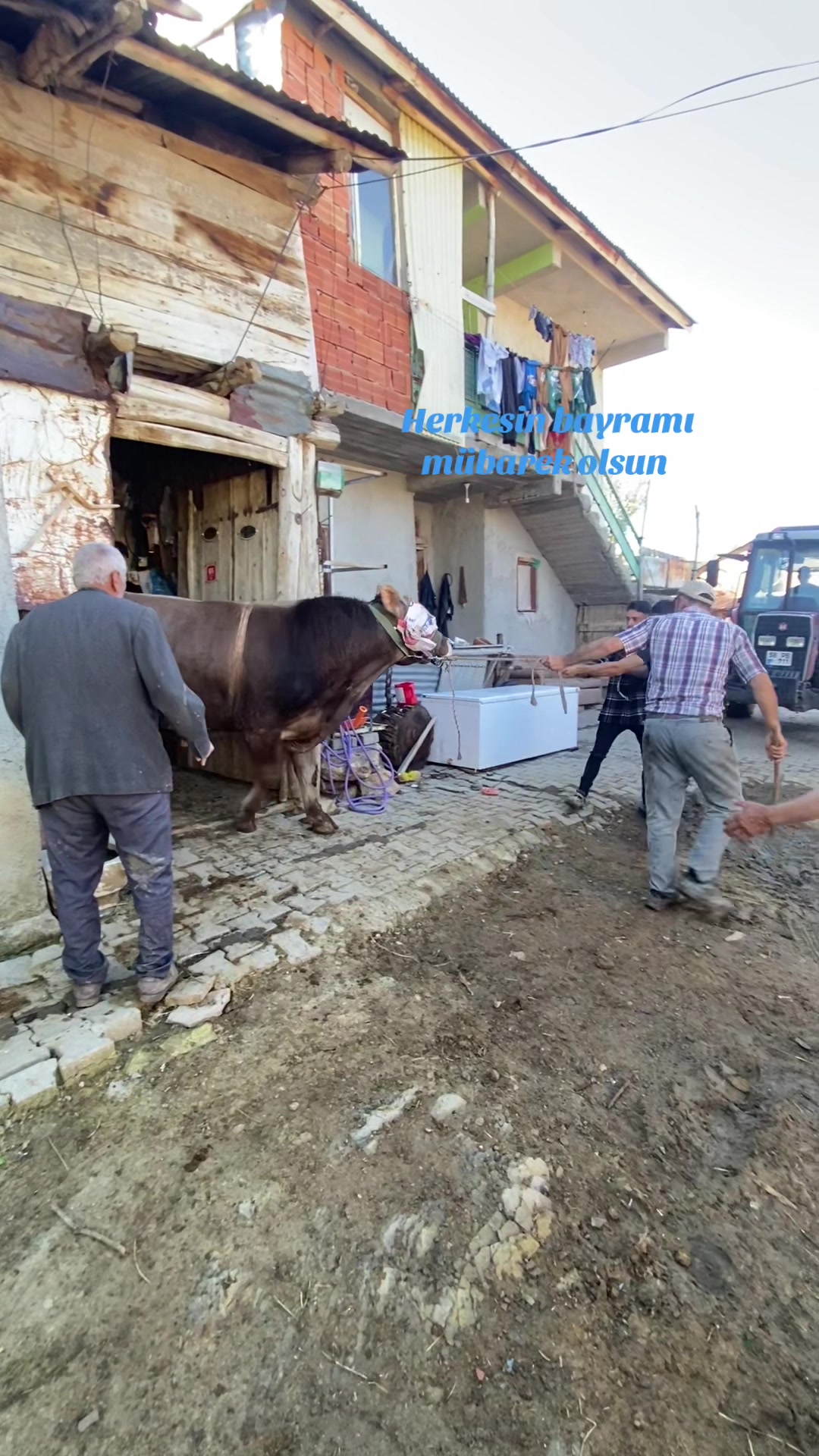 @OSMAN&Ccedil;AM58