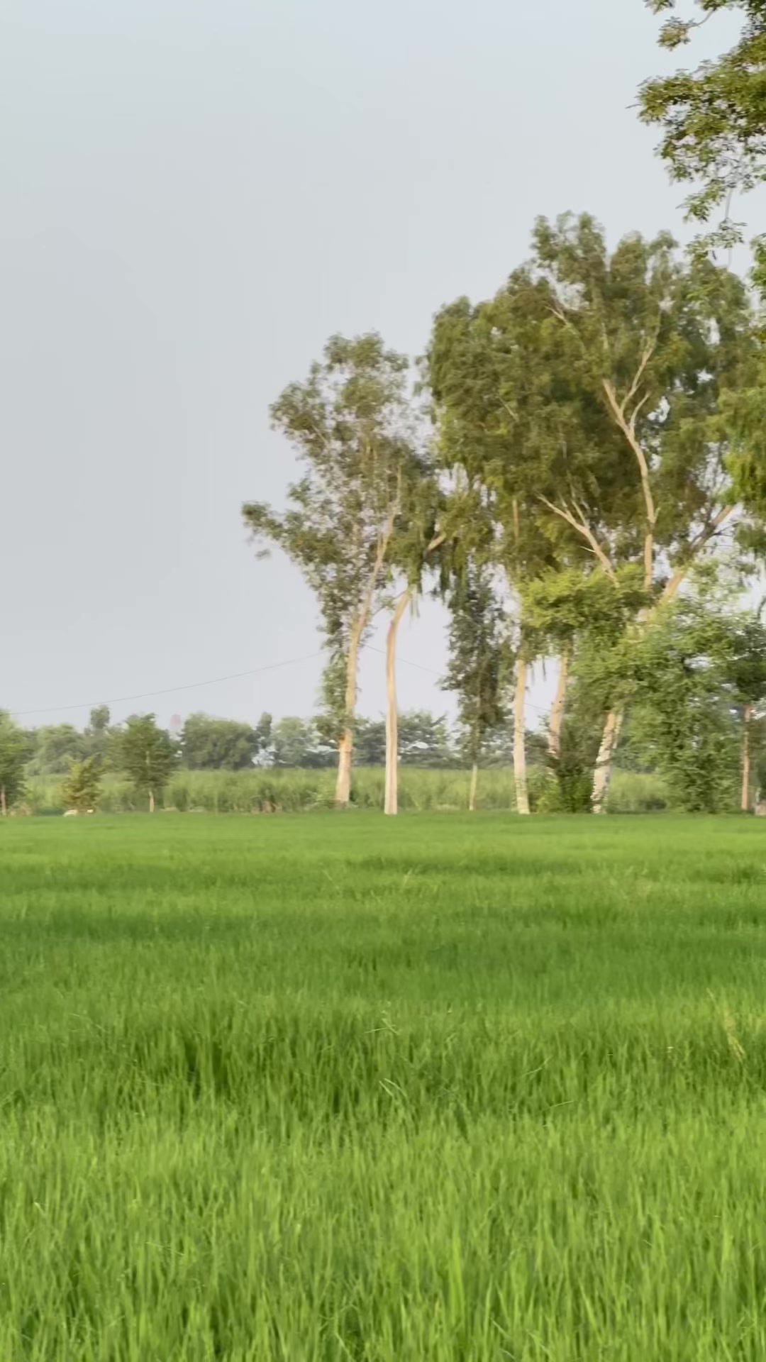 @M.HaSSaN 🇵🇰