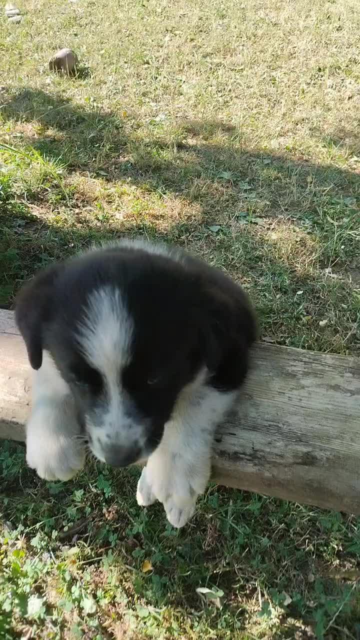 @Nry Güneş