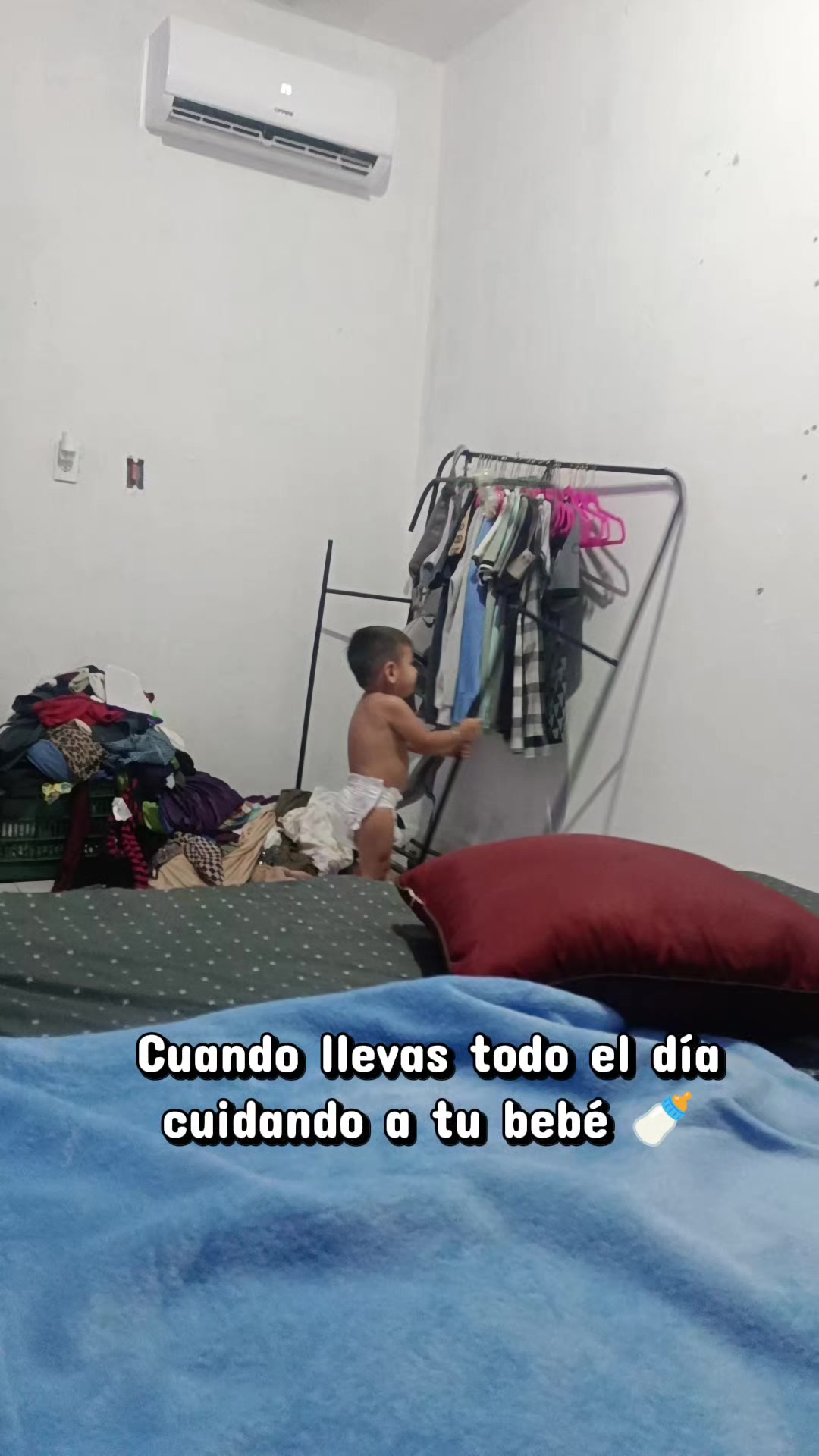 @Anittazenteno🫂🙋🏻&zwj;♀️ ❤️🌮