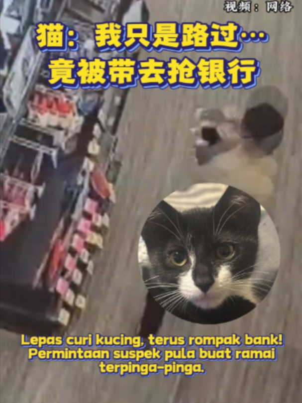 @中国报
