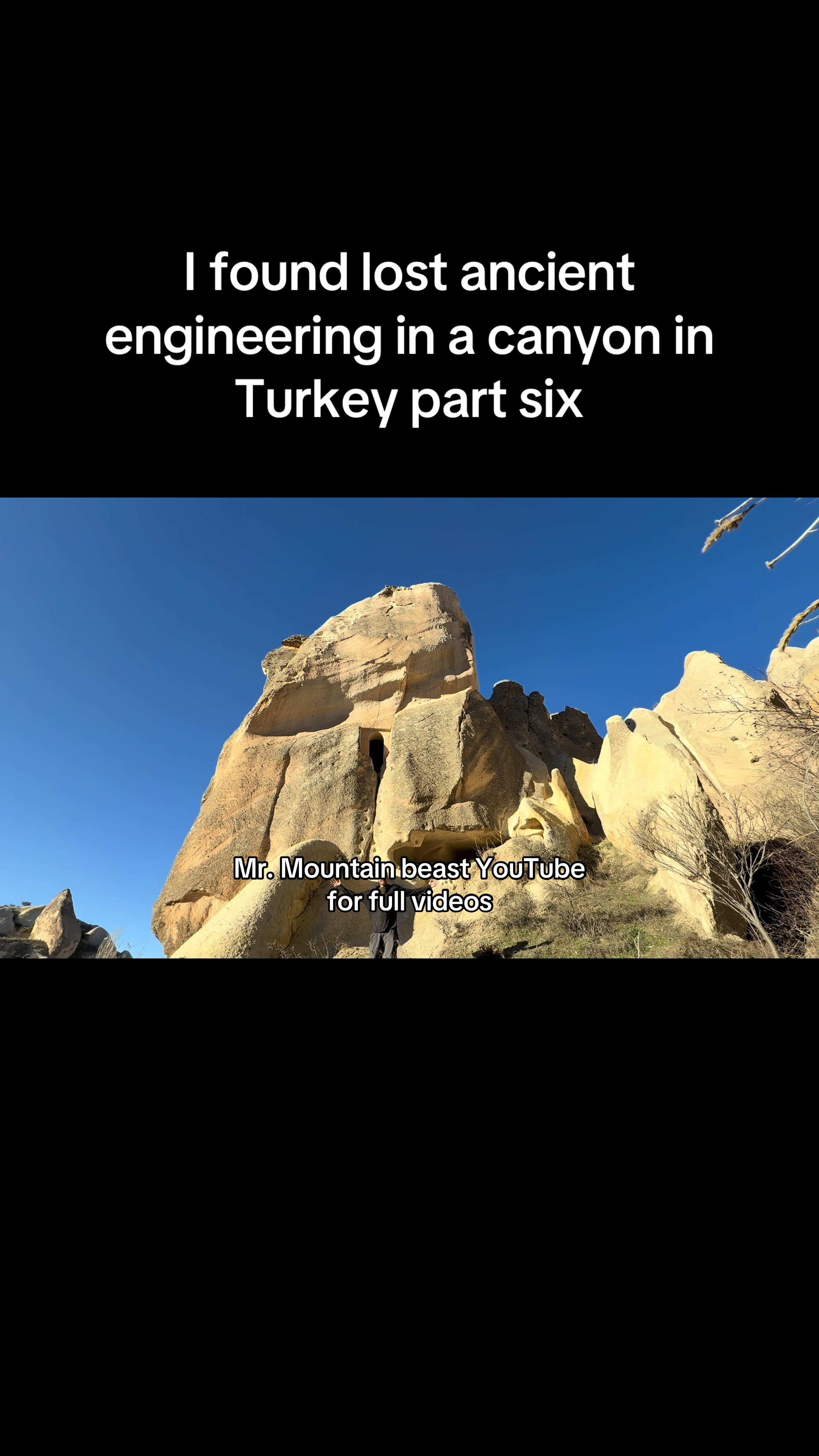 @Mr.mountainbeast
