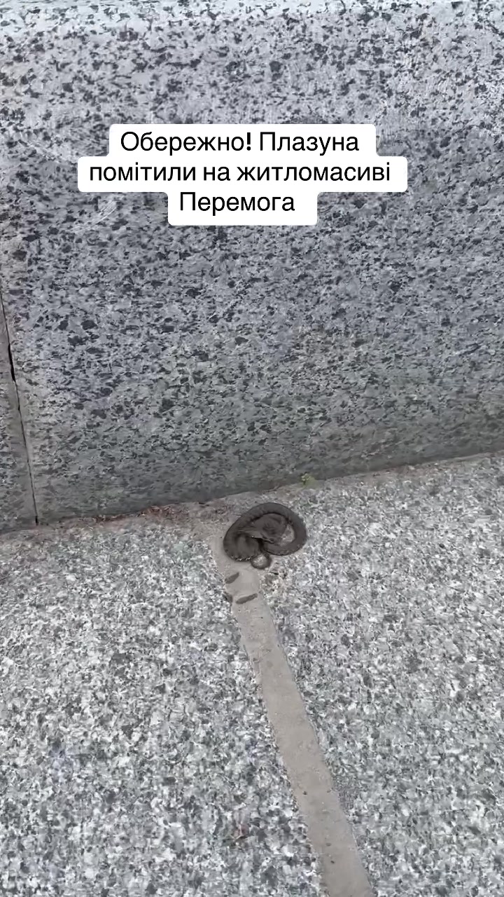 @Informator Dnipro