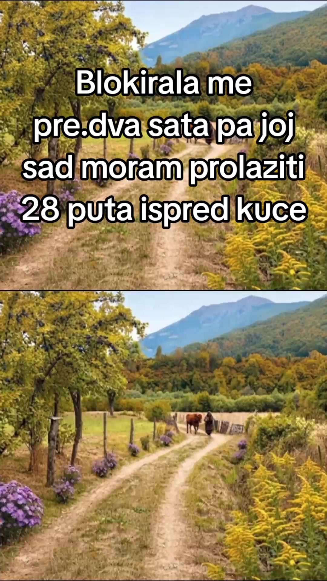 @klavijaturista