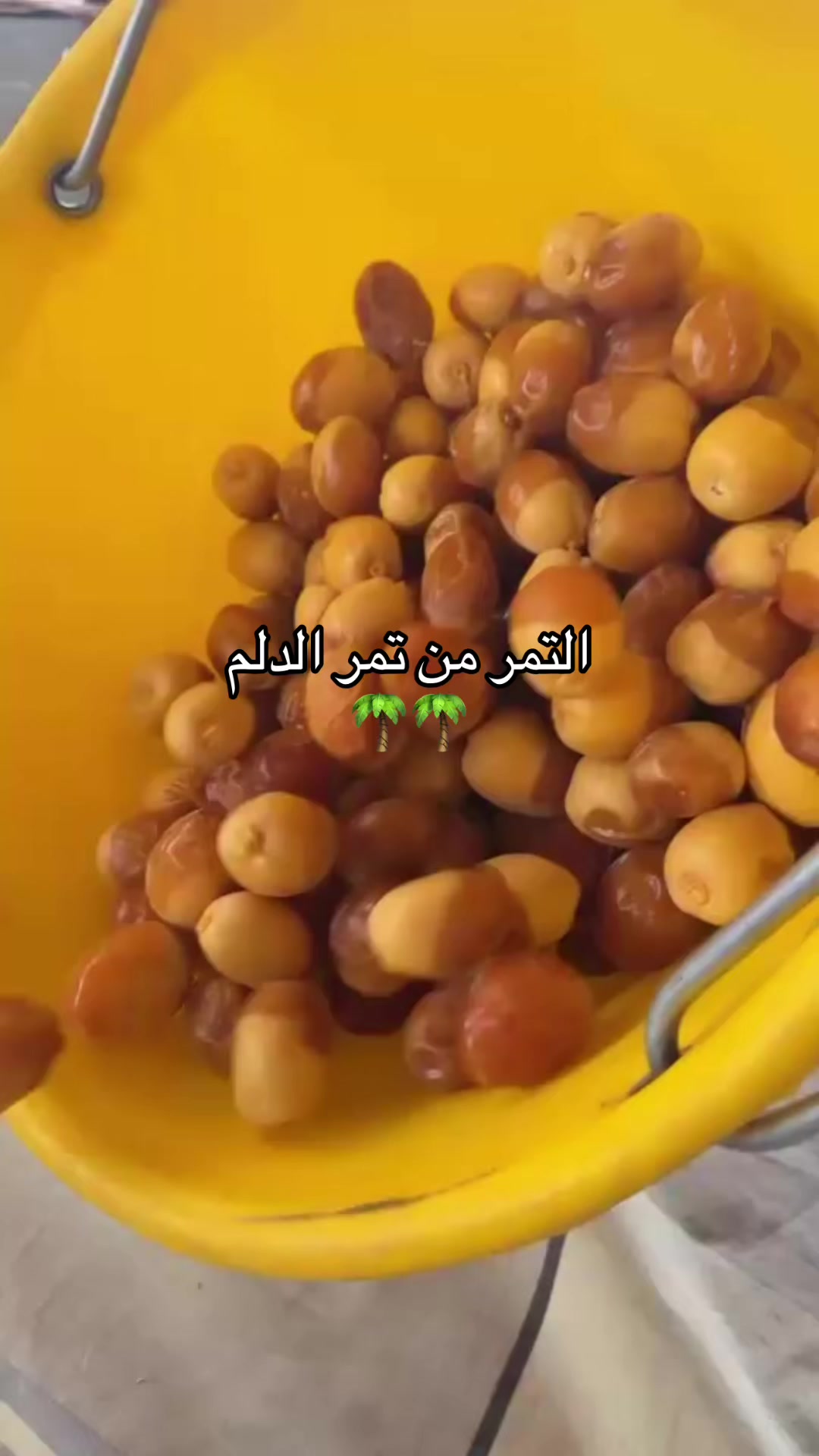 @سوير 🤳✨