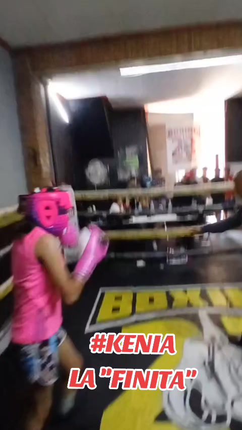@netos boxing