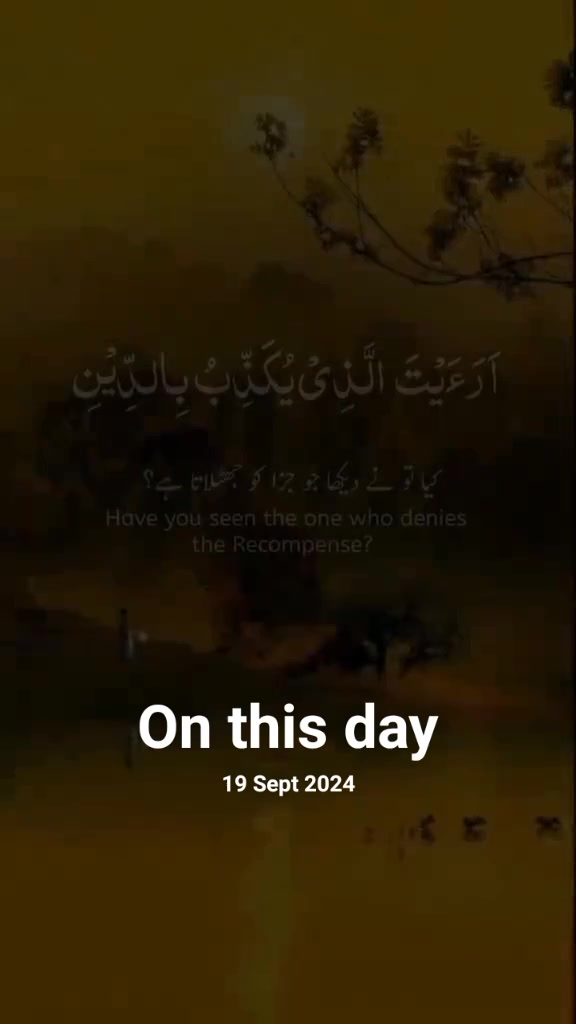 @murtazasandhu5994