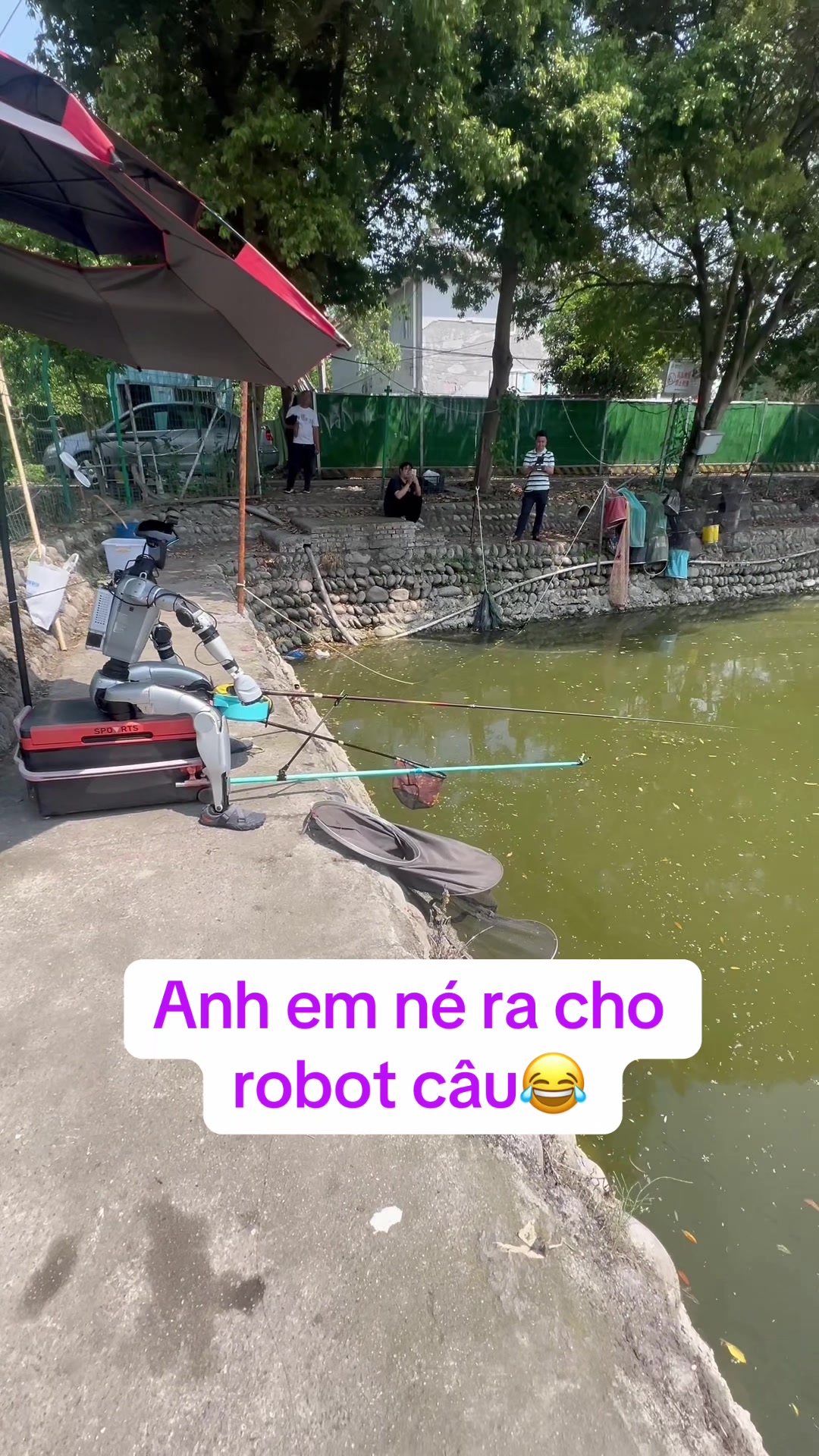 @Ngư Dân TikkTok