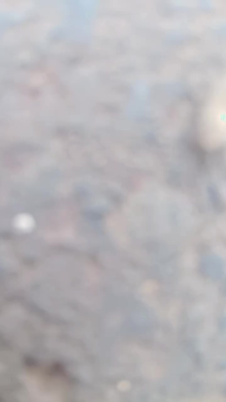 @Zanzzz_🎭
