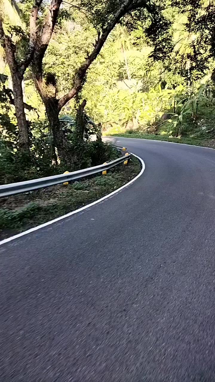 @Barredo Rosita