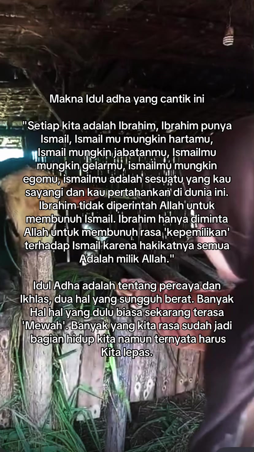 @Devita