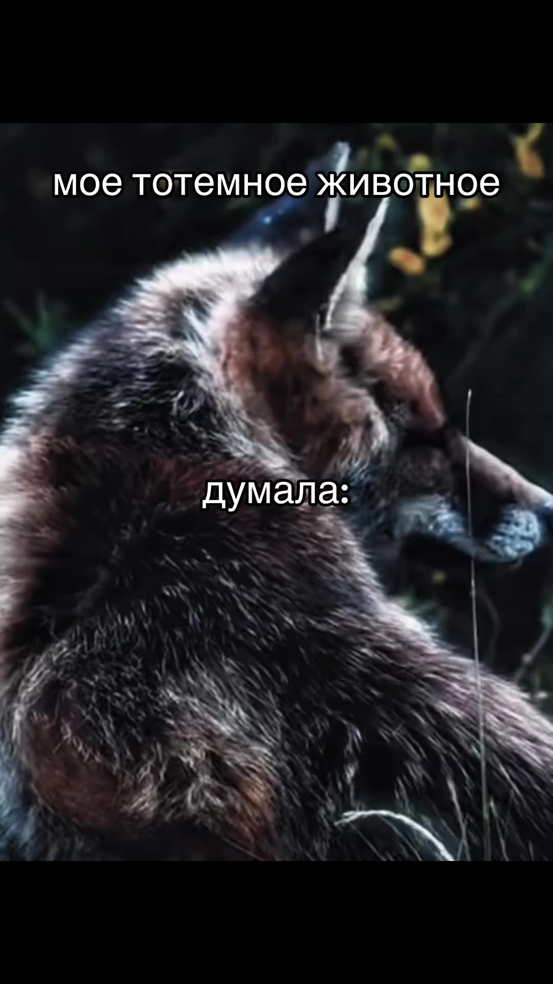 @11:11 | никуша<3