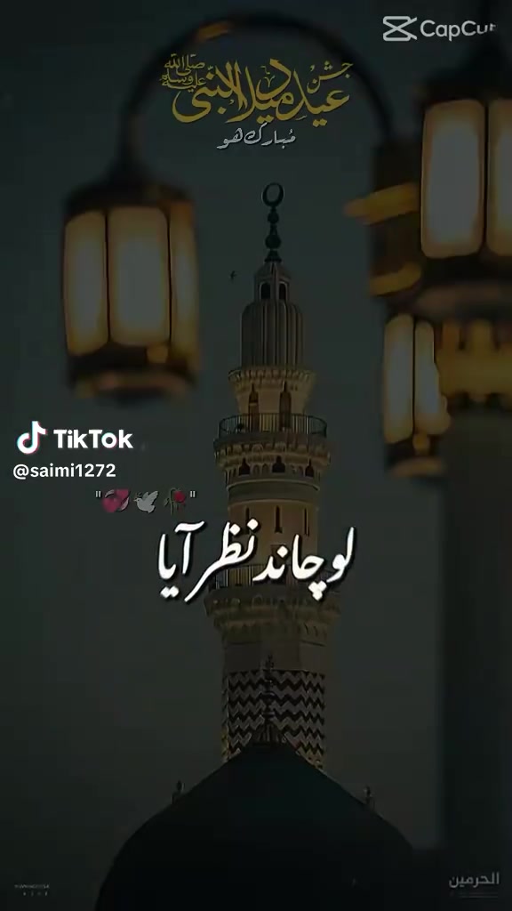 @user5741796268247