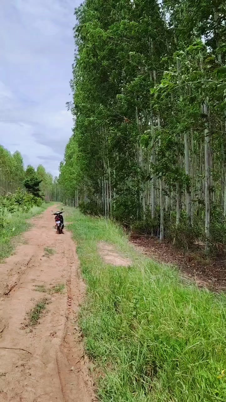 @Bong 9999
