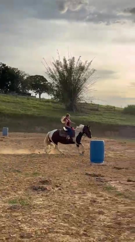 @Thor & cookie🐴🐰