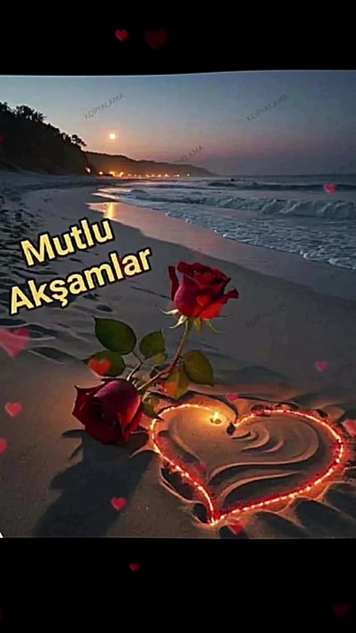 @suzan dündar