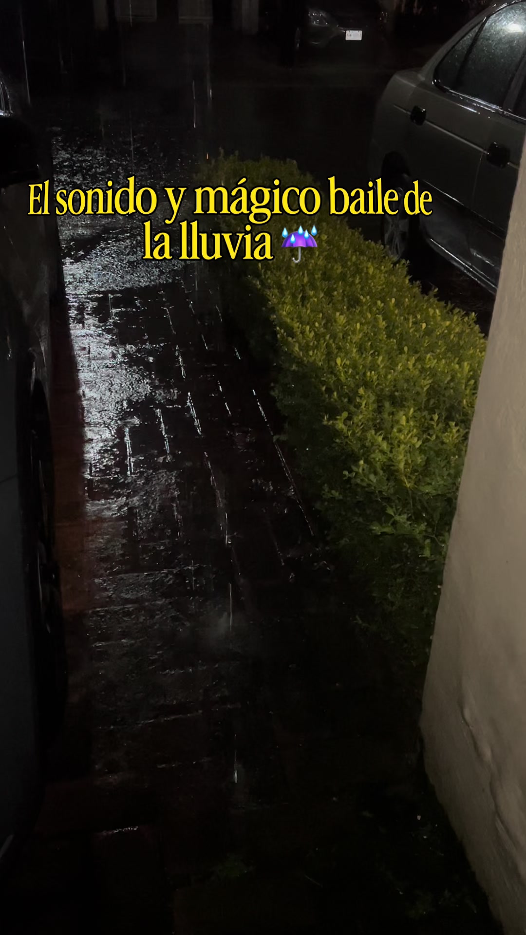 @🐚 Maite la Jalisquilla 🎺