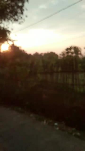 @🇲🇨* FIRMAN *BOGOR* 81