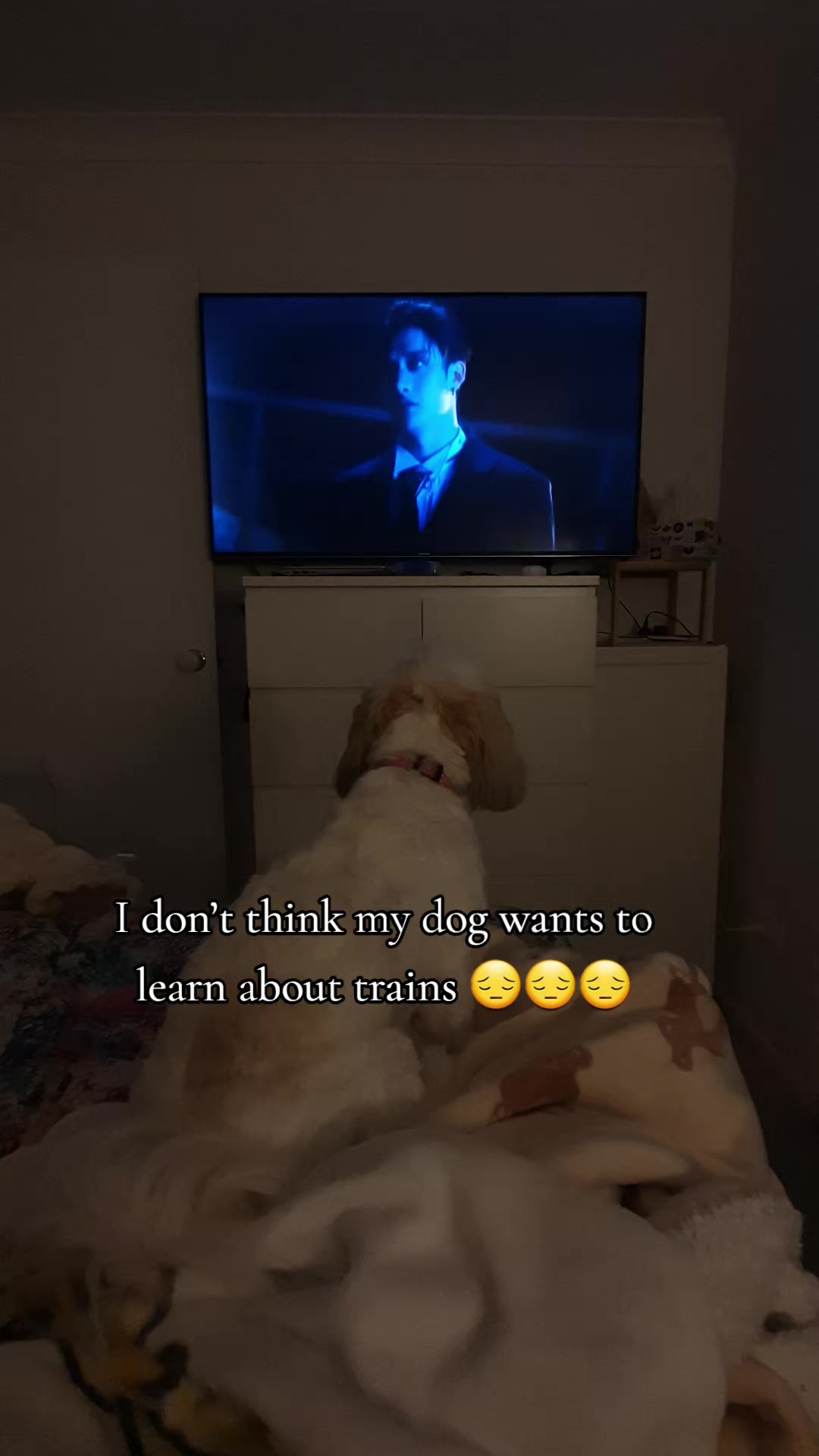 @𝗦𝗮𝗿𝗮𝗵 ᶻ 𝗓 𐰁 .ᐟ