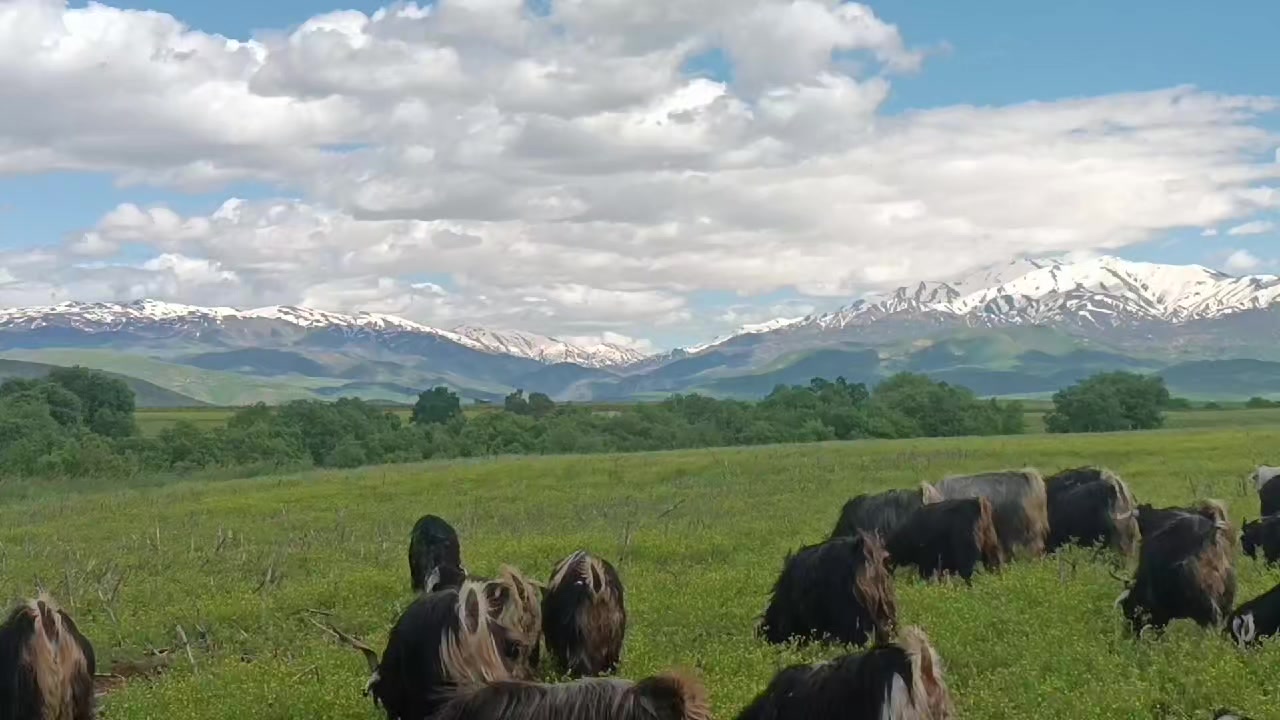 @koçer.12