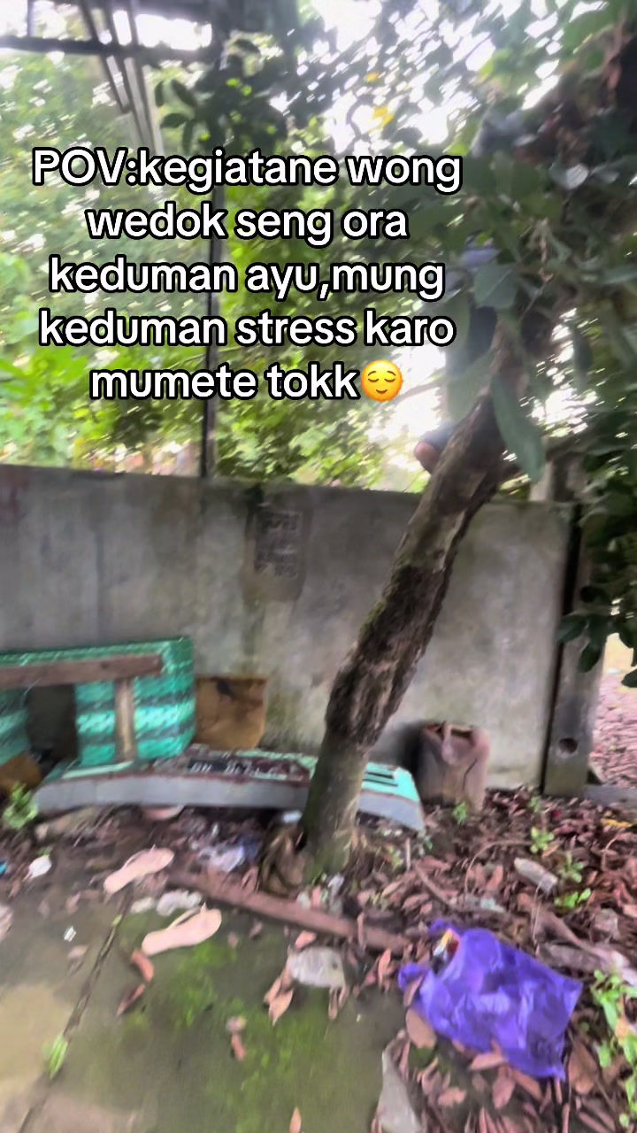 @yu pu