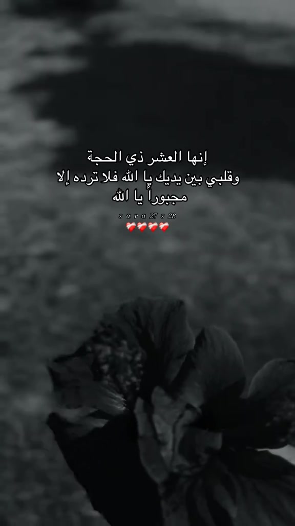 @tuba_97