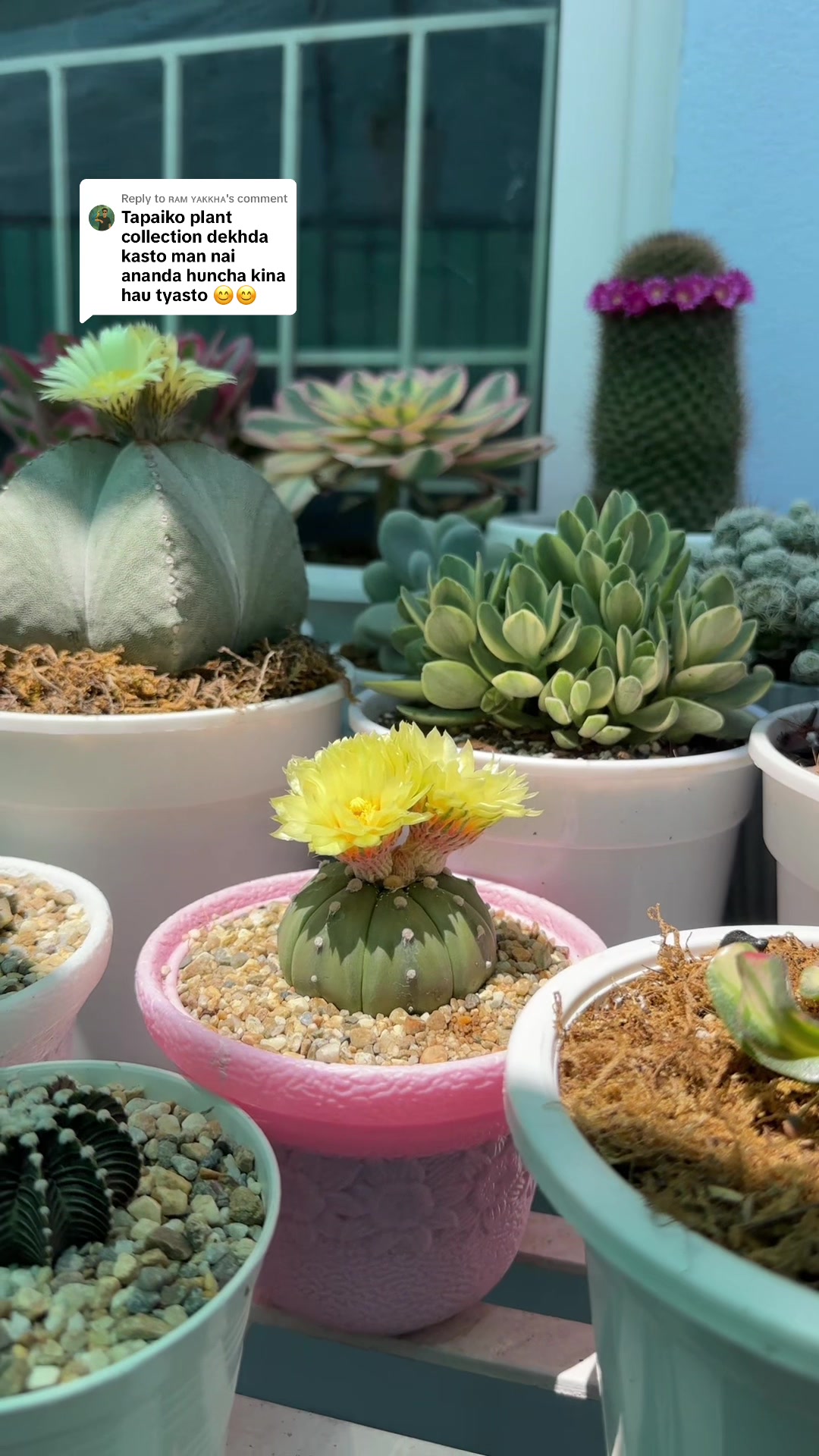 @Plantlife50