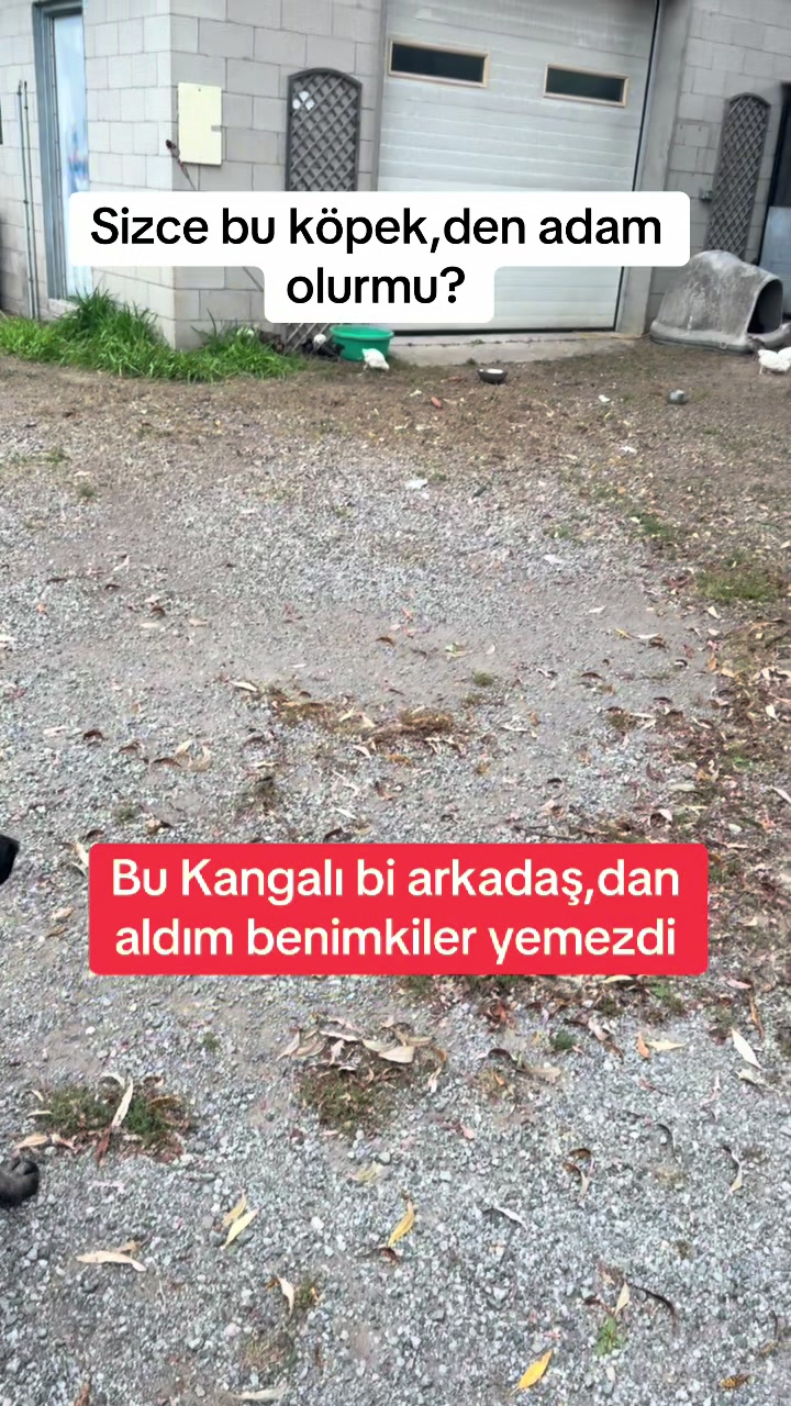 @iLKER🇹🇷ÇETiN🇨🇦