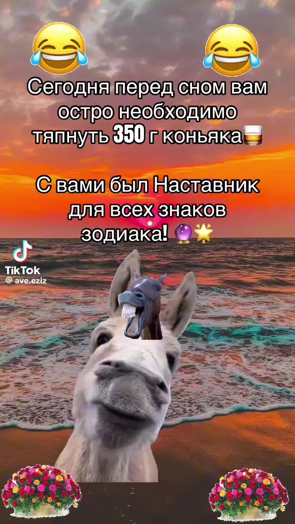 @๐ท๐ ๐ท๐๐ะะะ ะฏ๐๐๐ท๐๐ท