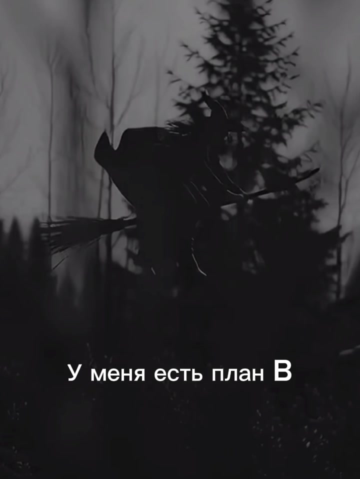 @Елизавета🖤