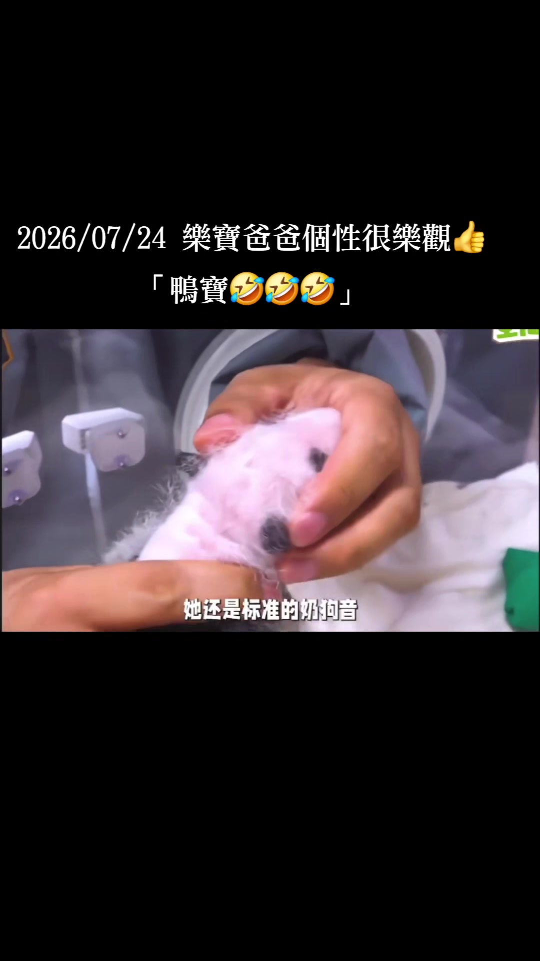 @福寶需要愛的抱抱