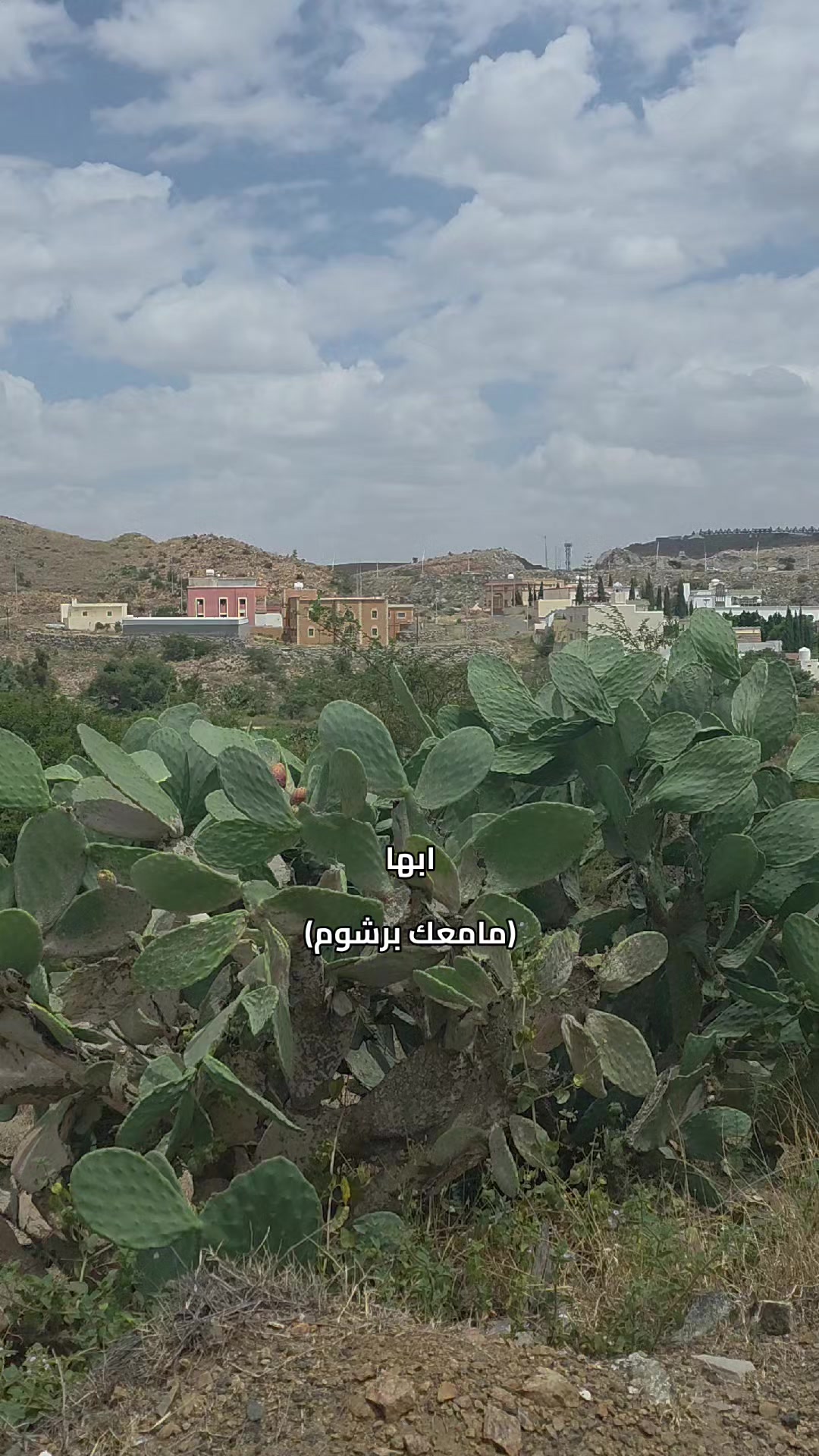@جولات/محمد العبيدي