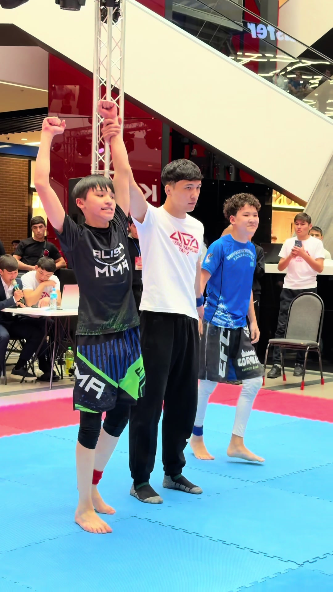@ALISH MMA