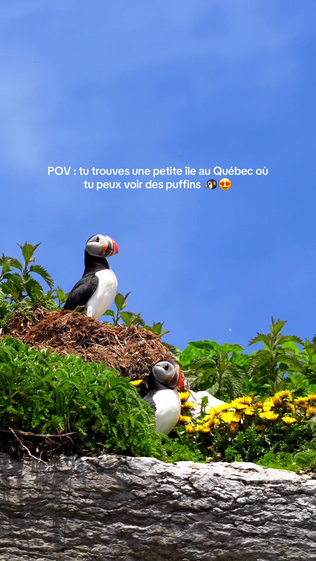 @Stéphanie