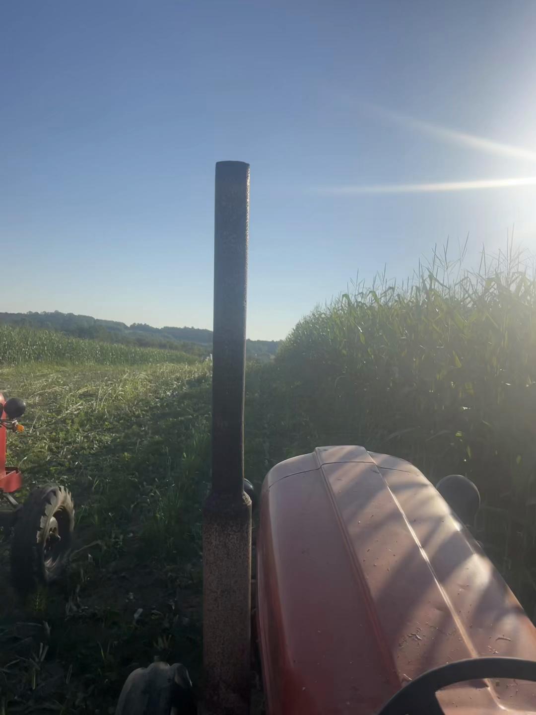 @Toliić1022