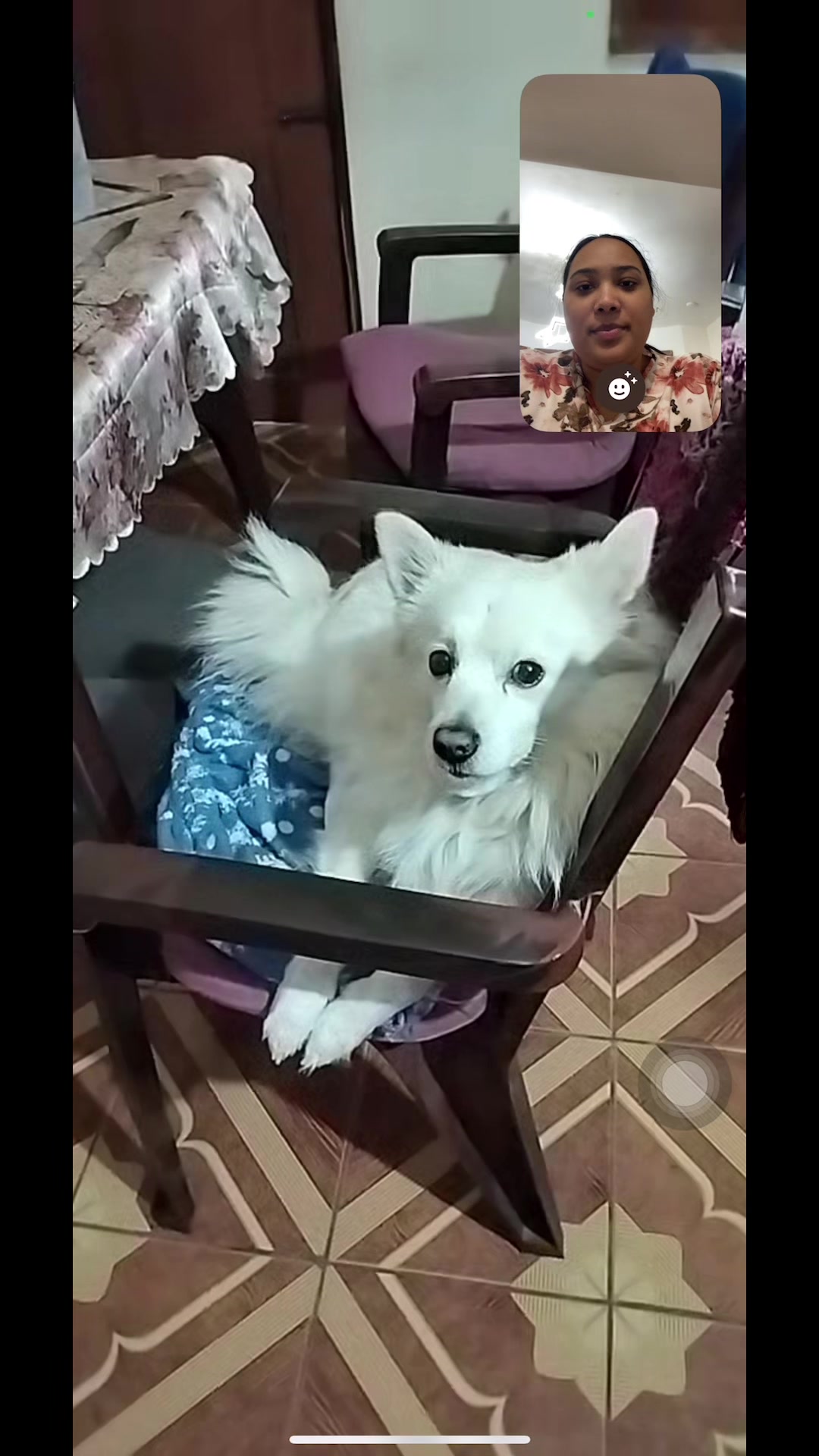 @Puntu❤️