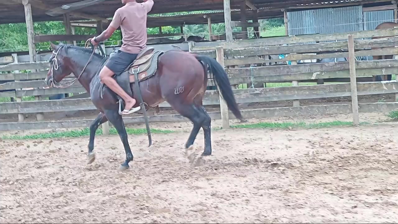 @user98402192588