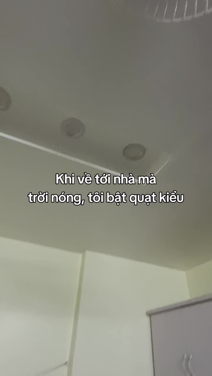 @ceiling fan is vietnam