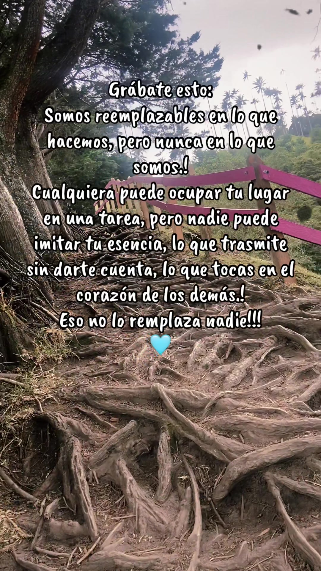@Maye 🥰💜🖤👩🏼&zwj;❤️&zwj;👩🏼🍃🦋