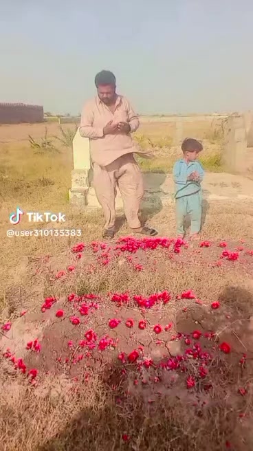 @Amir ail