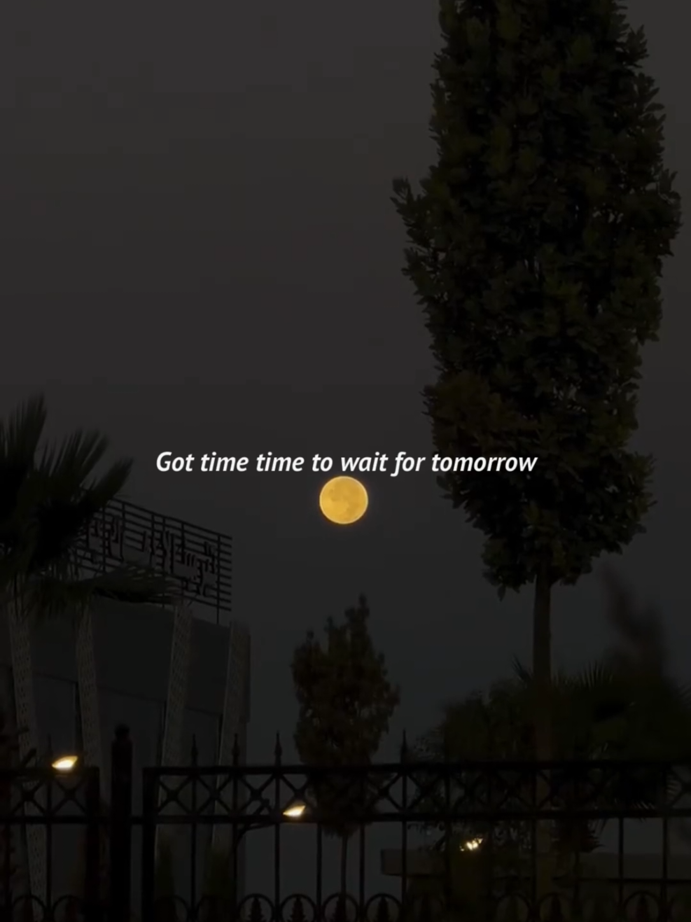 @my.